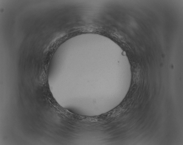 X0000062611446200601110956