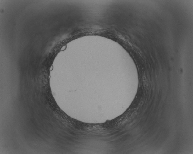 X0000062611447200601110956