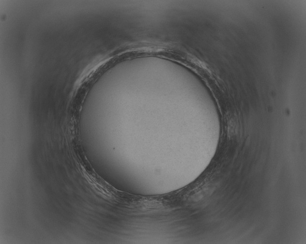 X0000062611448200601110956