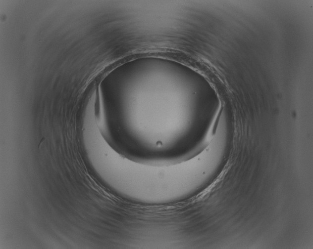 X0000062611449200601110956