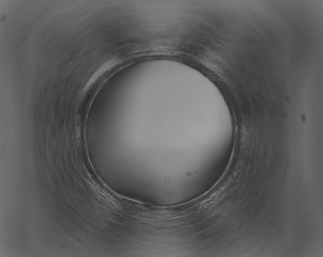 X0000062611450200601110956