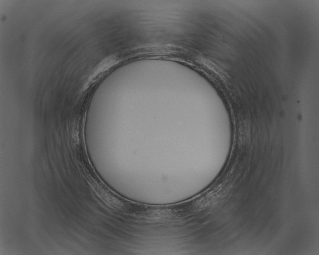 X0000062611451200601110956