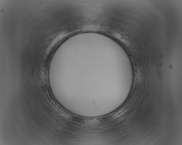 X0000062611454200601110956