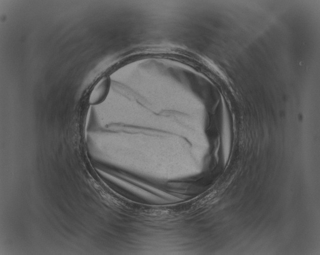 X0000062611456200601110956