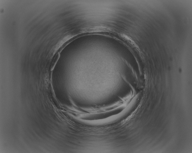 X0000062611457200601110956