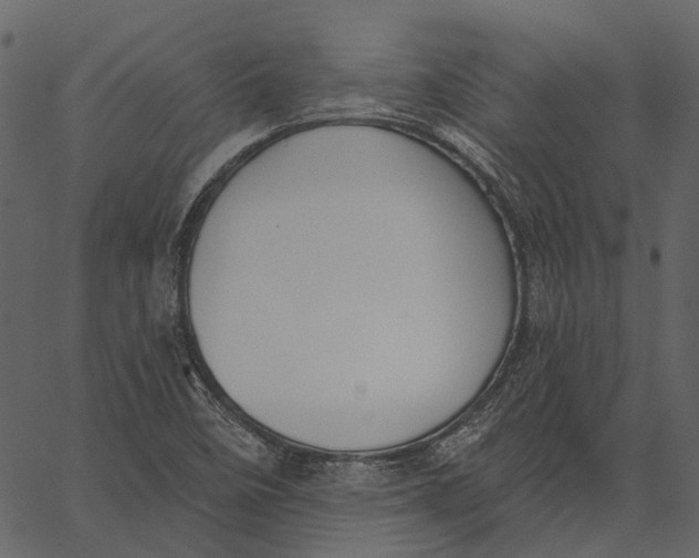 X0000062611458200601110956