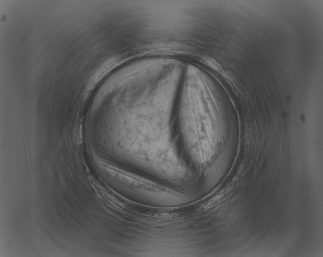 X0000062611459200601110956