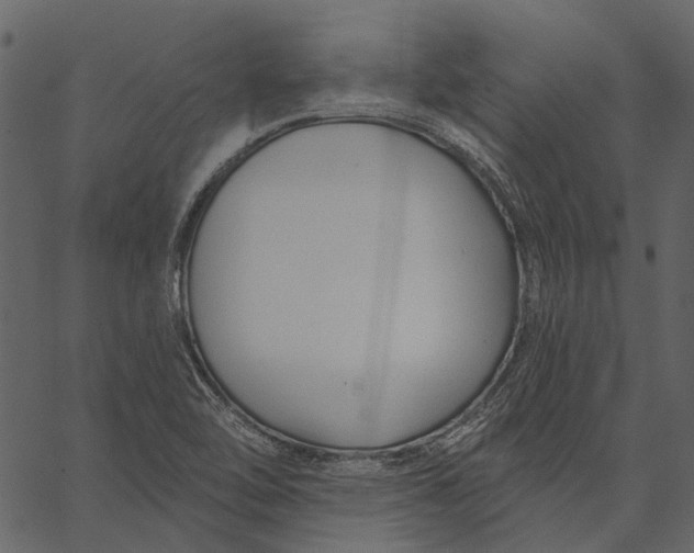 X0000062611462200601110956