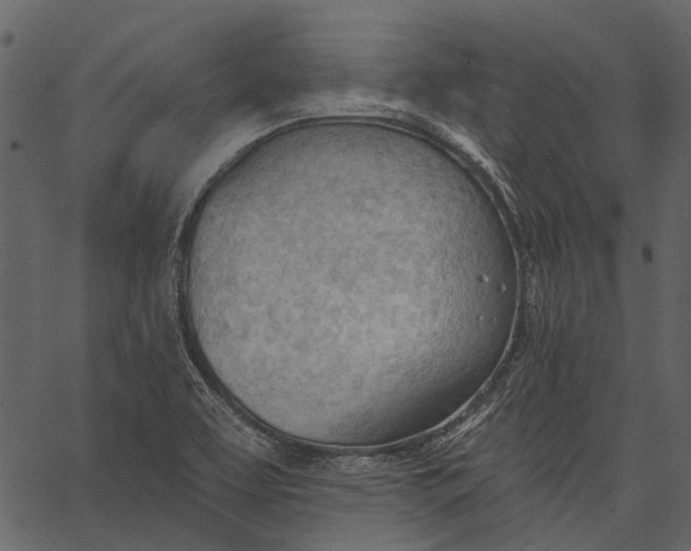 X0000062611463200601110956