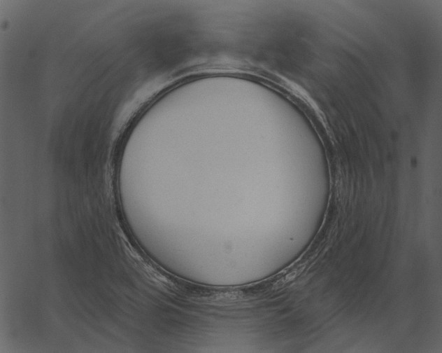 X0000062611464200601110956