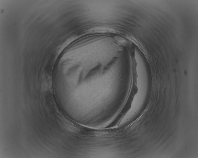 X0000062611465200601110956