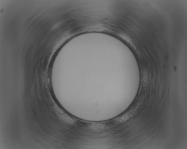 X0000062611466200601110956