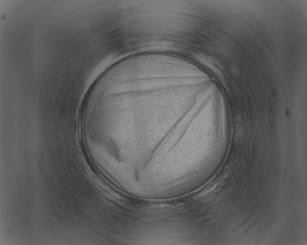 X0000062611467200601110956