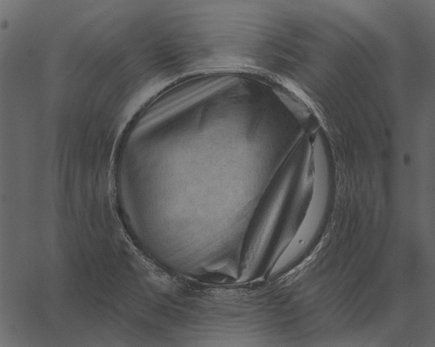 X0000062611469200601110956