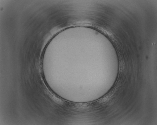 X0000062611470200601110956