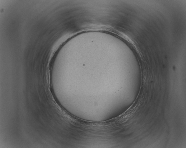 X0000062611472200601110956