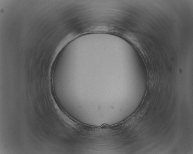 X0000062611475200601110956