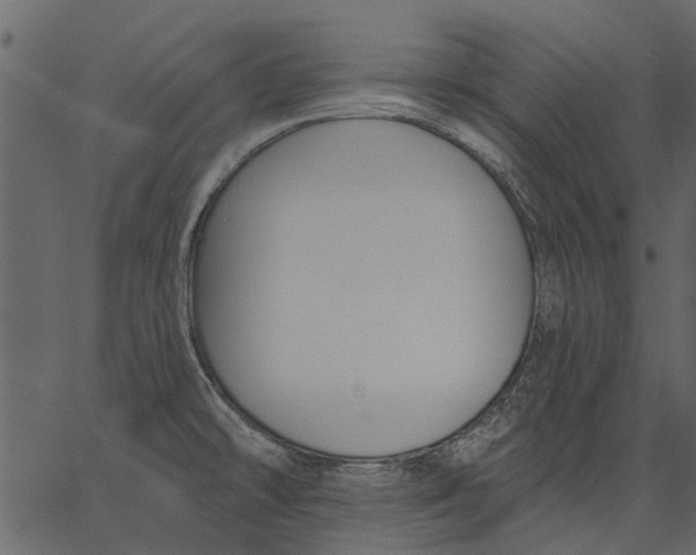 X0000062611478200601110956