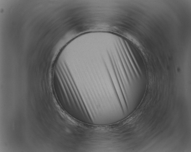 X0000062611480200601110955