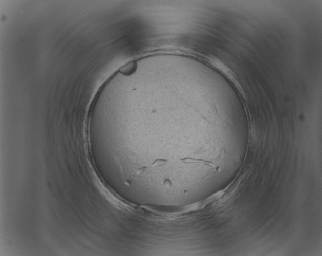 X0000062611482200601110955