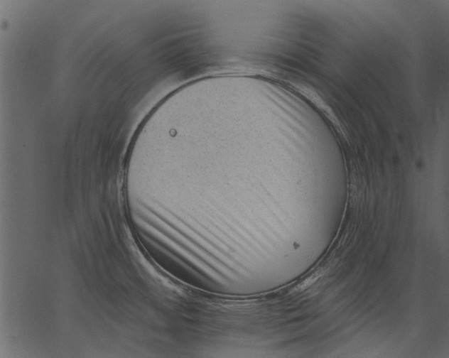 X0000062611484200601110955