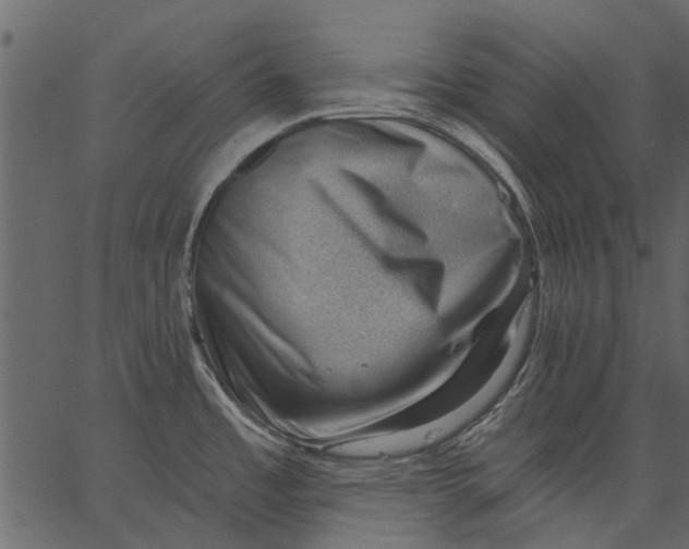 X0000062611485200601110955