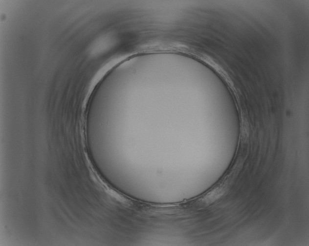 X0000062611486200601110955