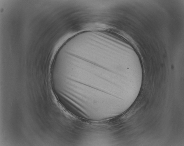 X0000062611488200601110955