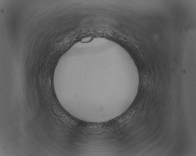 X0000062611489200601110955