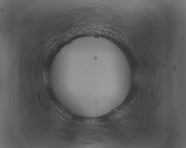 X0000062611490200601110955