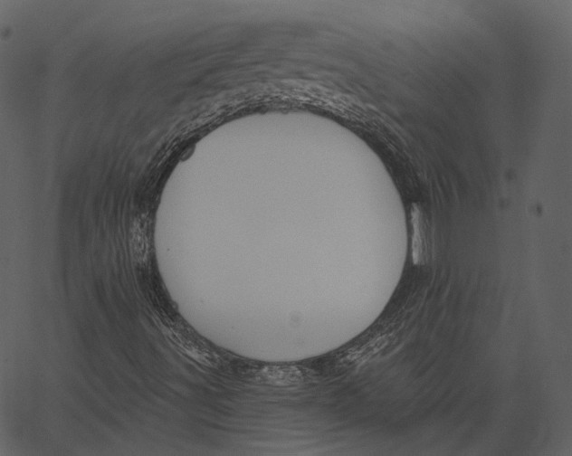 X0000062611491200601110955