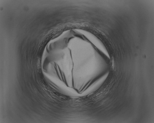 X0000062611492200601110955