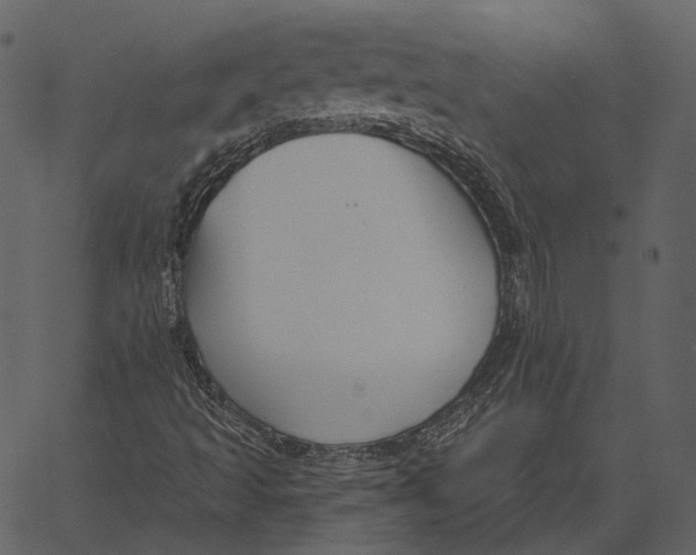 X0000062611493200601110955