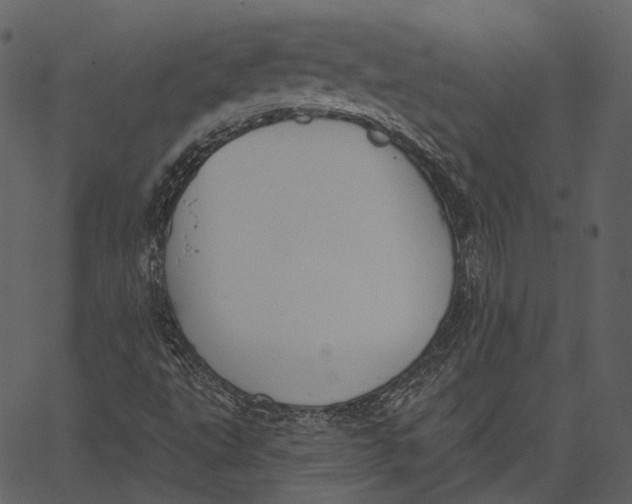 X0000062611495200601110955