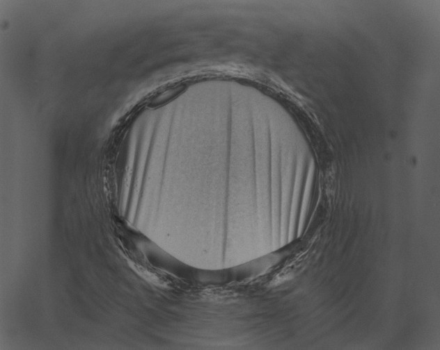 X0000062611496200601110955