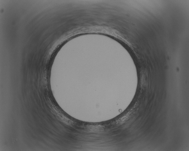 X0000062611498200601110955