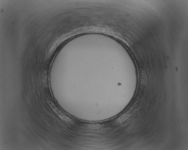 X0000062611499200601110955