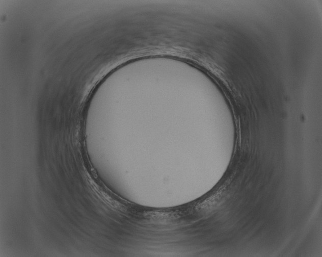 X0000062611500200601110955