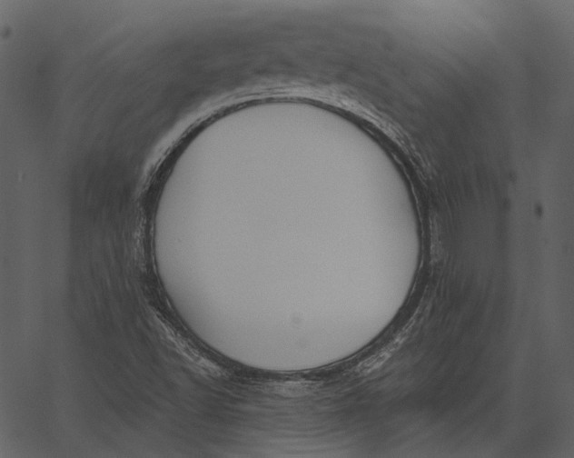 X0000062611502200601110955