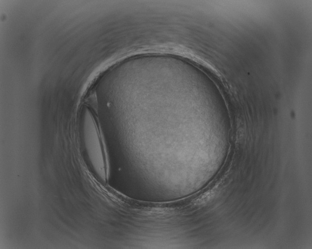 X0000062611506200601110955