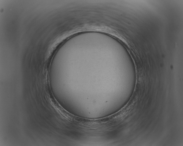 X0000062611507200601110955