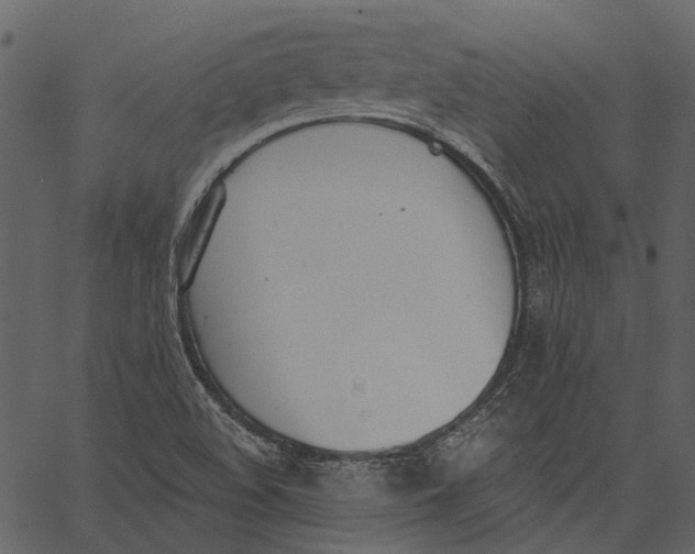 X0000062611508200601110955