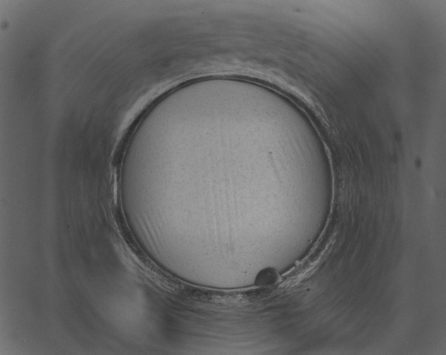 X0000062611509200601110955