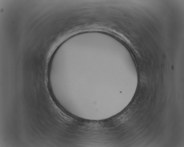 X0000062611512200601110955