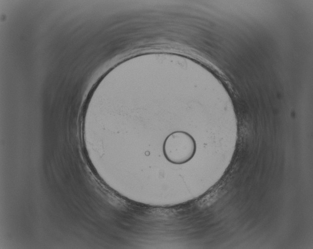 X0000062611514200601110955