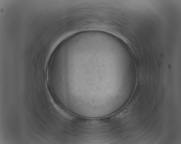 X0000062611515200601110955