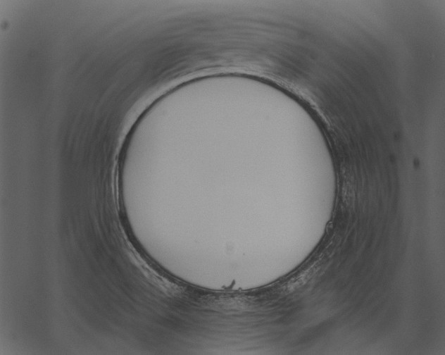 X0000062611516200601110955