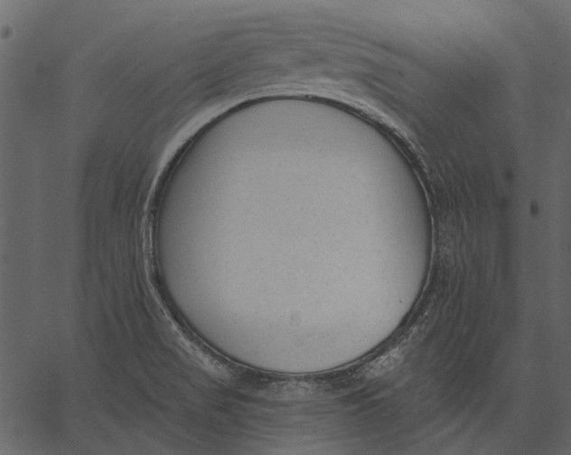 X0000062611517200601110955