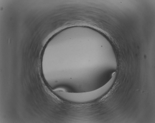 X0000062611518200601110955