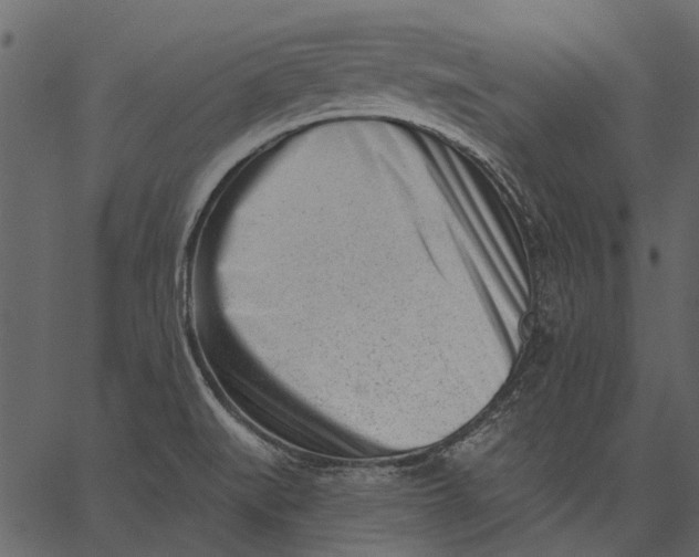 X0000062611519200601110955